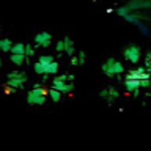 Meet your Posher, Bridget